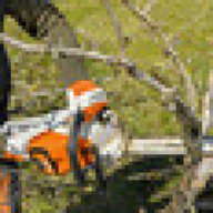 Аккумуляторная пила STIHL MSA 220 C-B. Купить в Бресте.