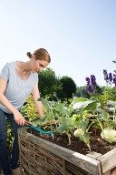 Культиватор 7см/3 зубца, со съемной короткой рукояткой. Купить в Бресте.