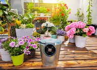 Таймер подачи воды на солнечной батарее с интегрированным насосом aquaBloom и резервуаром для воды. Купить в Бресте.