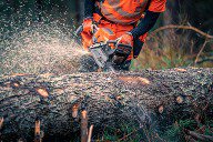 Бензопила Husqvarna 592XP. Купить в Бресте.