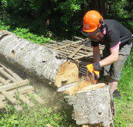 Бензопила Husqvarna 592XP. Купить в Бресте.