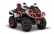 Квадроцикл Odes ATV 1000 (Double seat) Gold. Купить в Бресте.